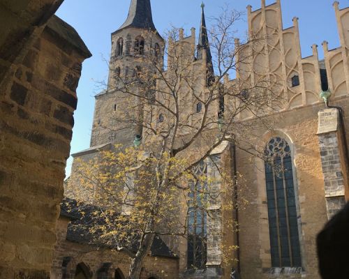 Blick-auf-Dom.jpg